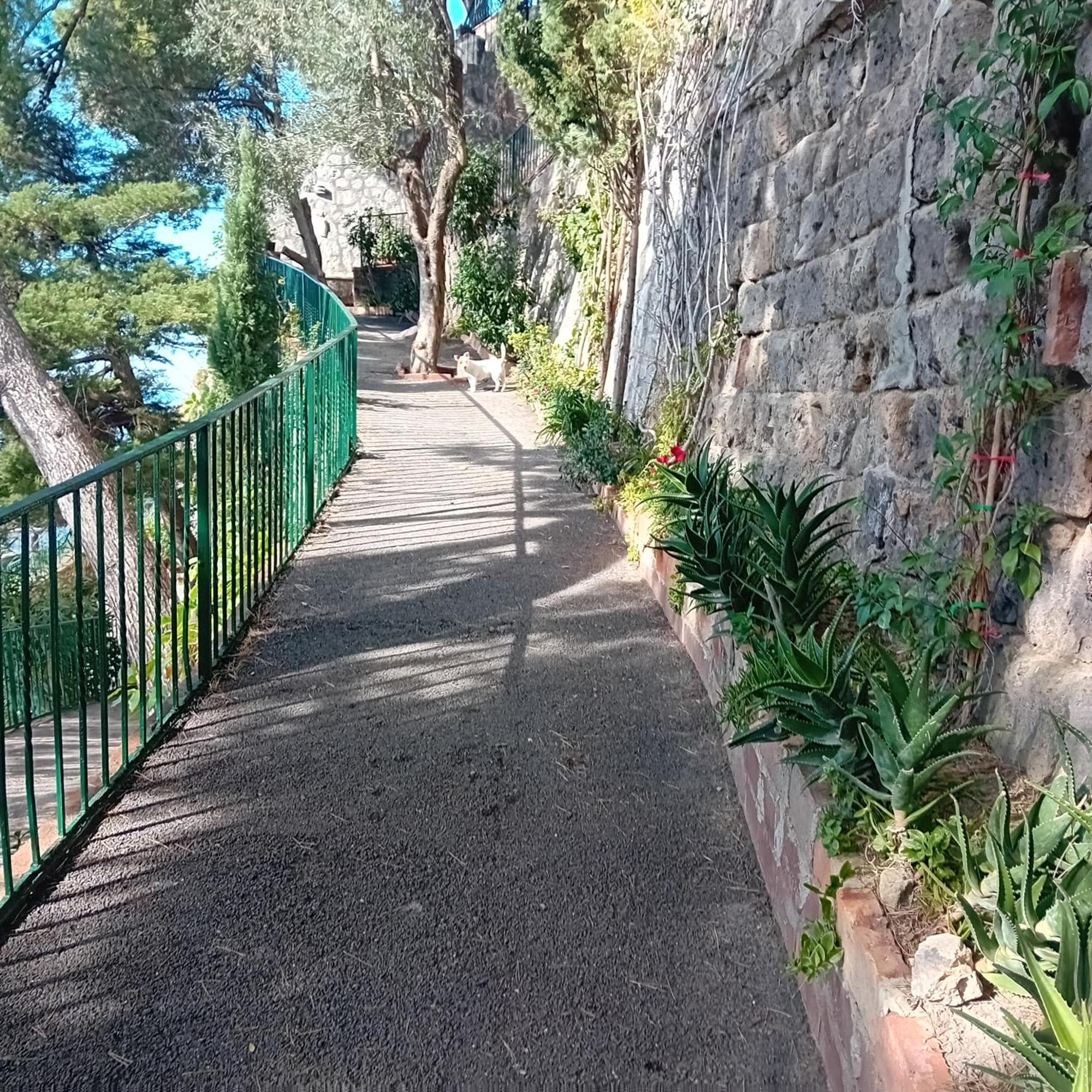 Villa La Galetta Vico Equense Exterior photo